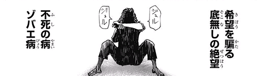 HUNTER×HUNTER33