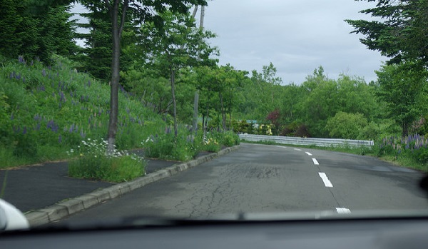 うすいすライン