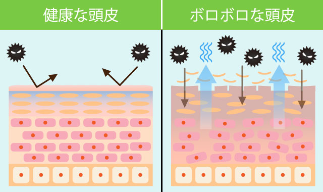 肌の状態